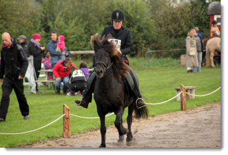 DM ALRID søndag _01805a