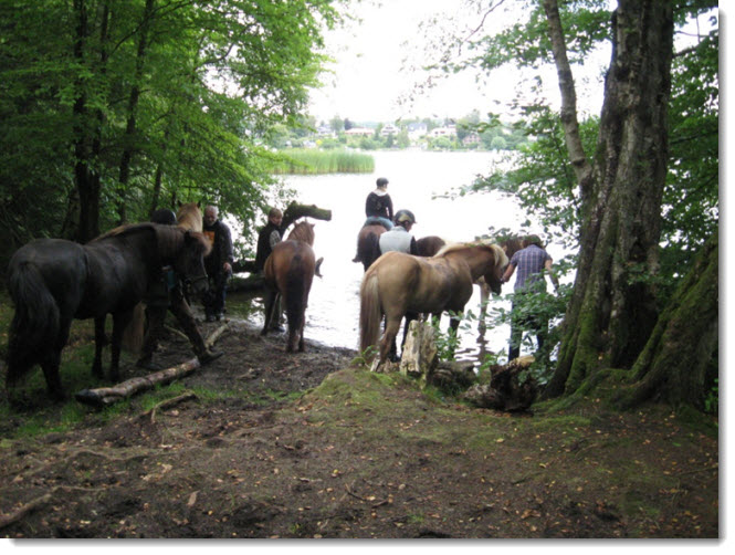 2013-08-11 silkeborgskovene