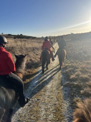 Juleskovturen 2025 Foto: Laila Gravgaard